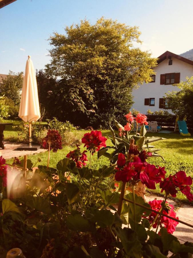 Charmantes Garten-Apartment: Erholung Im Chiemgau Unterwössen Exteriér fotografie