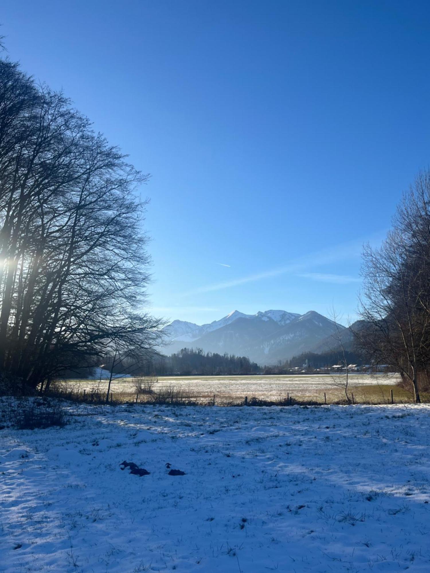 Charmantes Garten-Apartment: Erholung Im Chiemgau Unterwössen Exteriér fotografie